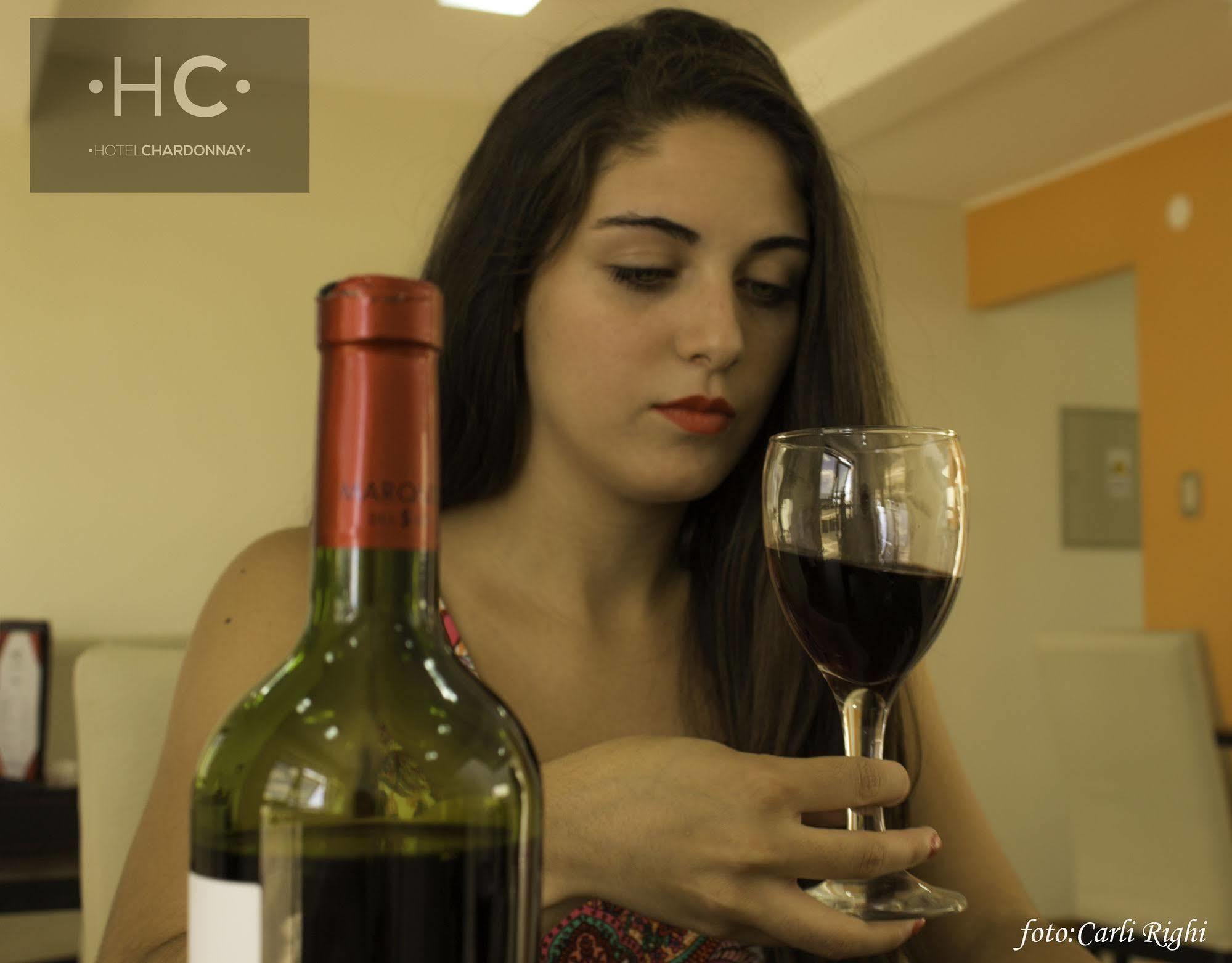 Hotel Chardonnay Tupungato Zewnętrze zdjęcie